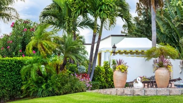 Landscaping