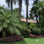 Tropical landscape design